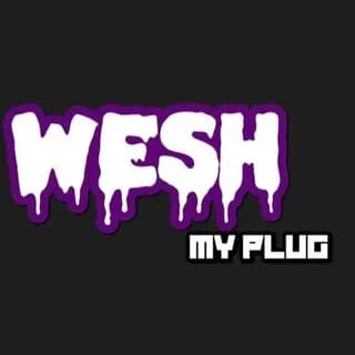 Profile image of WESHMYPLUG/@weshmybeats 🎹 VST,KITS on Telegram