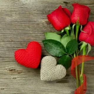Profile image of 💞قلبهای آرام💞 on Telegram