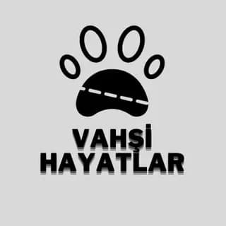 Profile image of Vahşi Hayatlar on Telegram