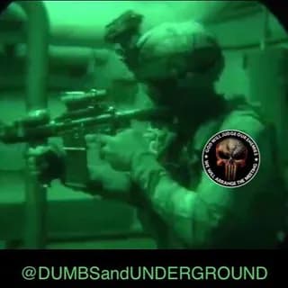 Profile image of D.U.M.B.S and Underground War on Telegram