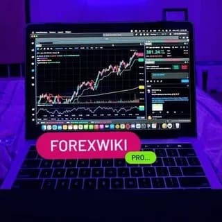 Profile image of ForexWIKI (VIP) on Telegram