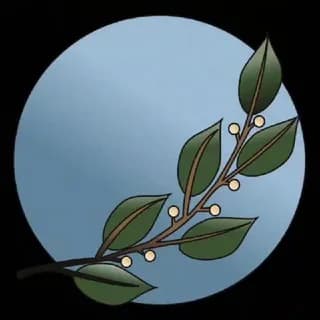Profilbild von Holistische Gesundheit, Lifestyle & Finanzen auf Telegram