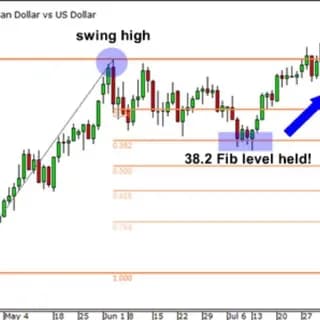 Profile image of Forex Trading Hub on Telegram