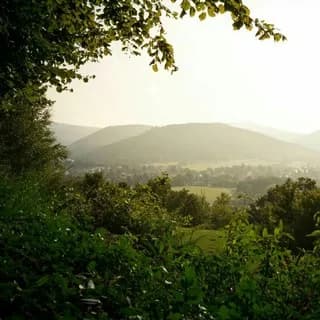 Profile image of Landscapes on Telegram