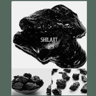 Profilbild von MEESTER SHILAJIT 🎱 auf Telegram