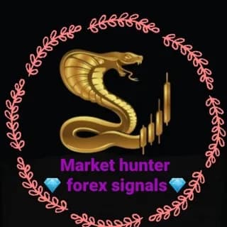 Profile image of Forex exchange informations 💴💷💶💰🗝 on Telegram