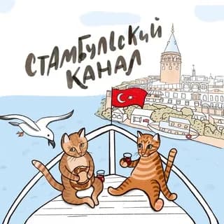 Imagem de perfil de Стамбульский канал no Telegram