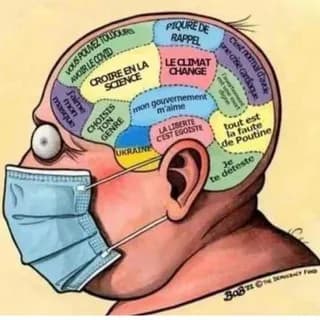 Profile image of ASANA SANTÉ on Telegram