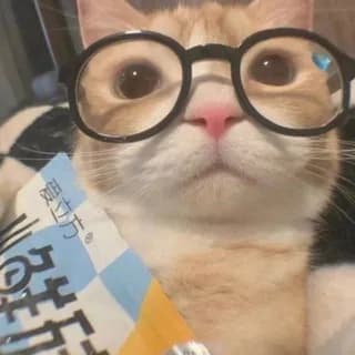 Profile image of sQg.memes on Telegram