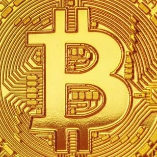 Profile image of Free income on Telegram