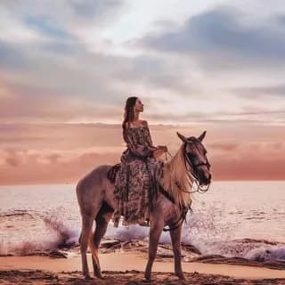 Profile image of M O D E L S on Telegram