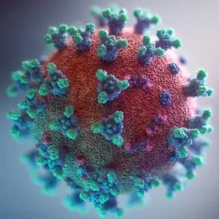 Profilbild von 🦠 Corona Linksammlung (CLS) auf Telegram