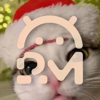 Profilbild von 𝗽𝗼𝗽𝗠𝗢𝗗𝗦 | 𝗙𝗢𝗦𝗦, 𝗟𝗶𝗳𝗲, 𝗠𝗲𝗺𝗲𝘀 auf Telegram