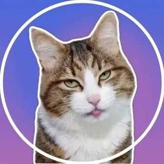 Imagen de perfil de Video Stickers - Видео Стикеры - Гиф Стики en Telegram