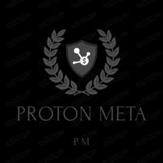 Profile image of protonmeta.online on Telegram