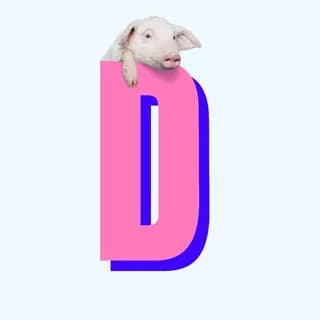 Immagine del profilo di Diritti Sessuali su Telegram