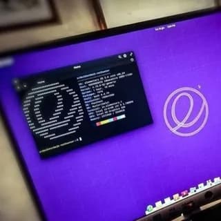 Profile image of Cs/IT Placement on Telegram