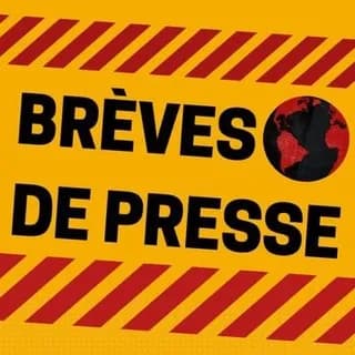 Image de profil de Brevesdepresse sur Telegram