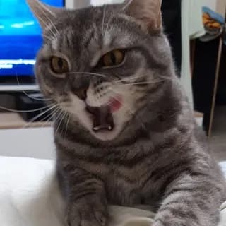 Profile image of Логово m1night'a on Telegram
