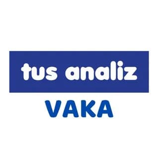 Profile image of Tus Analiz Vaka on Telegram