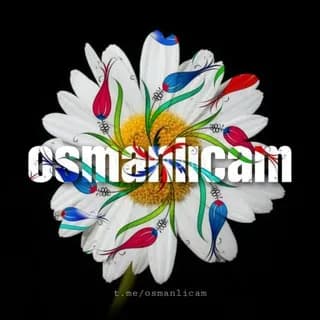 Image de profil de Osmanlı Türkçesi (Osmanlıcam) sur Telegram