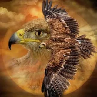 Profilbild von Aufwachen auf Telegram