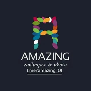 Profile image of 📸amazing📸 on Telegram