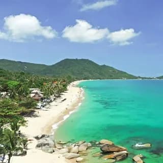 Profilbild von Koh Samui community auf Telegram