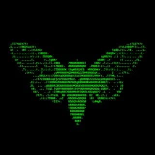 Imagen de perfil de zicelaqo en Telegram
