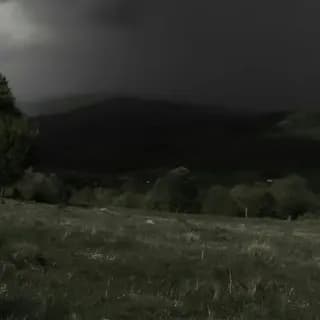 Profile image of скарчик ахаха on Telegram