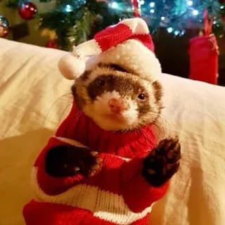 Imagen de perfil de язычки и темки тг en Telegram