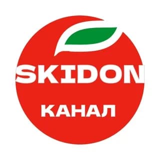 Imagen de perfil de БАЛЛЫ ПЯТЕРОЧКИ SKIDON en Telegram