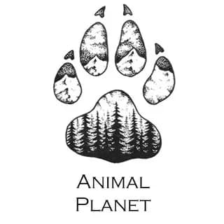 Immagine del profilo di Animal Planet su Telegram
