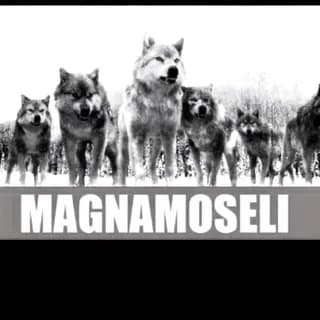 Immagine del profilo di emix_bet su Telegram