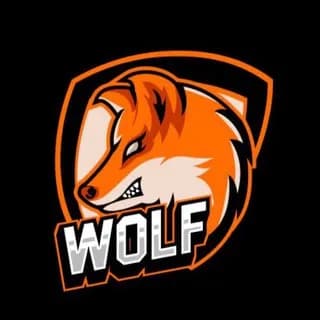 Profile image of The CryptoWolf ™ on Telegram