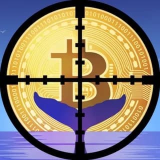 Profile image of Whale Sniper on Telegram