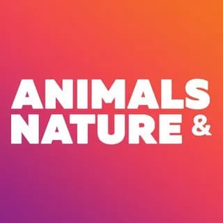 Profilbild von Nature auf Telegram