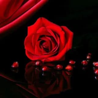 Profile image of SABİT SPOR BAHİS TAVSİYELERİ on Telegram