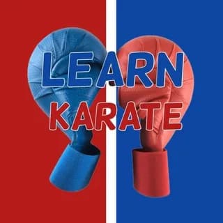 Imagem de perfil de LEARN KARATE no Telegram