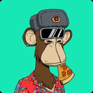 Immagine del profilo di NFT COMMUNITY su Telegram