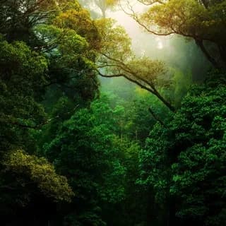Profile image of Nature Landscape Animal Photography Videos - TikTok Backup by AppleEditing [Mountains / Glaciers / Oceans / Switzerland] on Telegram