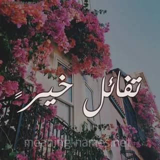 Profile image of تّفُأِئلُ خيّرً 💝 on Telegram