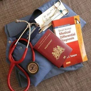 Profile image of Docteur astuce ( Le trésor des Médecins ) on Telegram