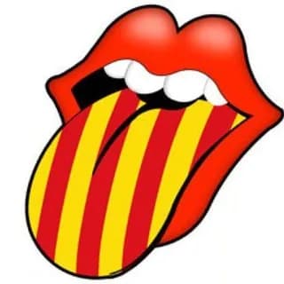 Imagen de perfil de Clar i Català Expressions catalanes, adhesius, mems, preguntes... en Telegram
