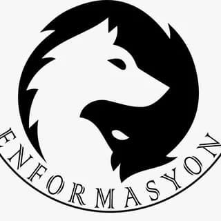Image de profil de Enformasyon sur Telegram