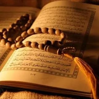 Profile image of İslam Alemi on Telegram