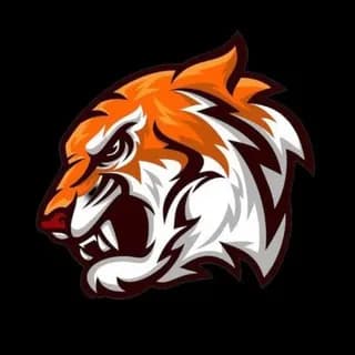 Imagem de perfil de Tiger Tips no Telegram