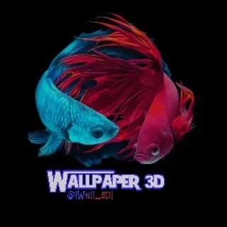 Profilbild von تم | والپیپر | Обои |Wallpaper auf Telegram