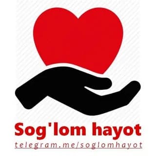 Imagen de perfil de SOG'LOM HAYOT ️️ en Telegram