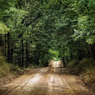 Profile image of Dirt Road Discussions on Telegram
